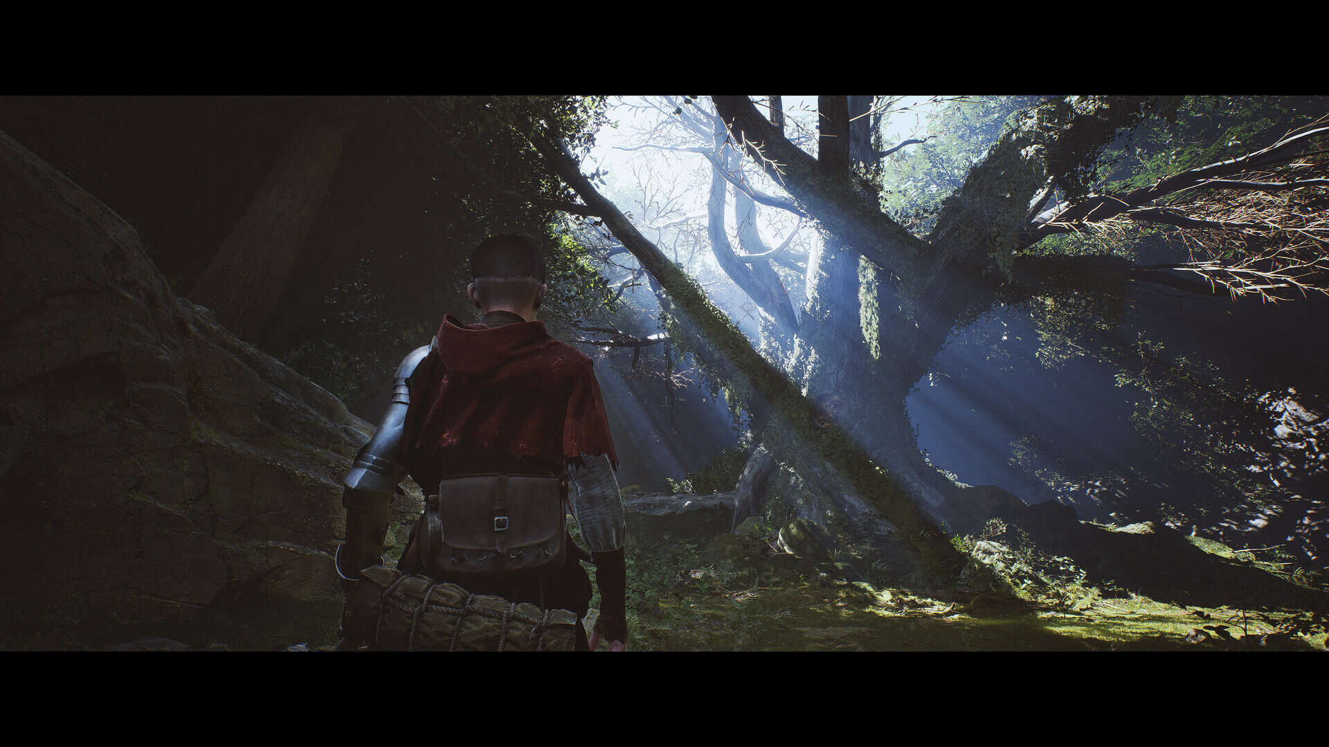 Скриншот 1348 Ex Voto