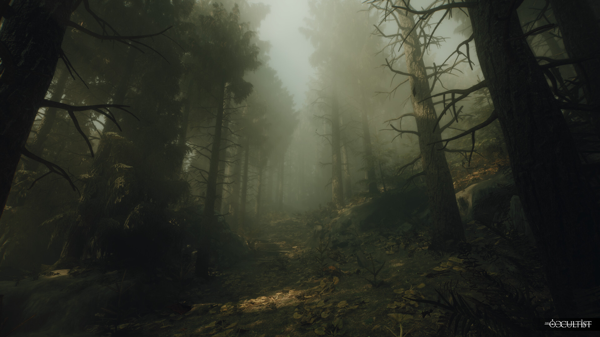 Скриншот The Occultist