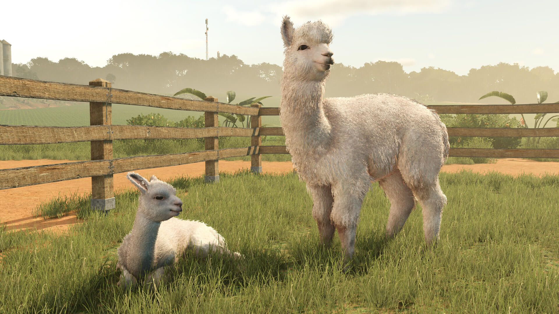 Скриншот Farming Simulator 25 - Beans & Alpacas Edition