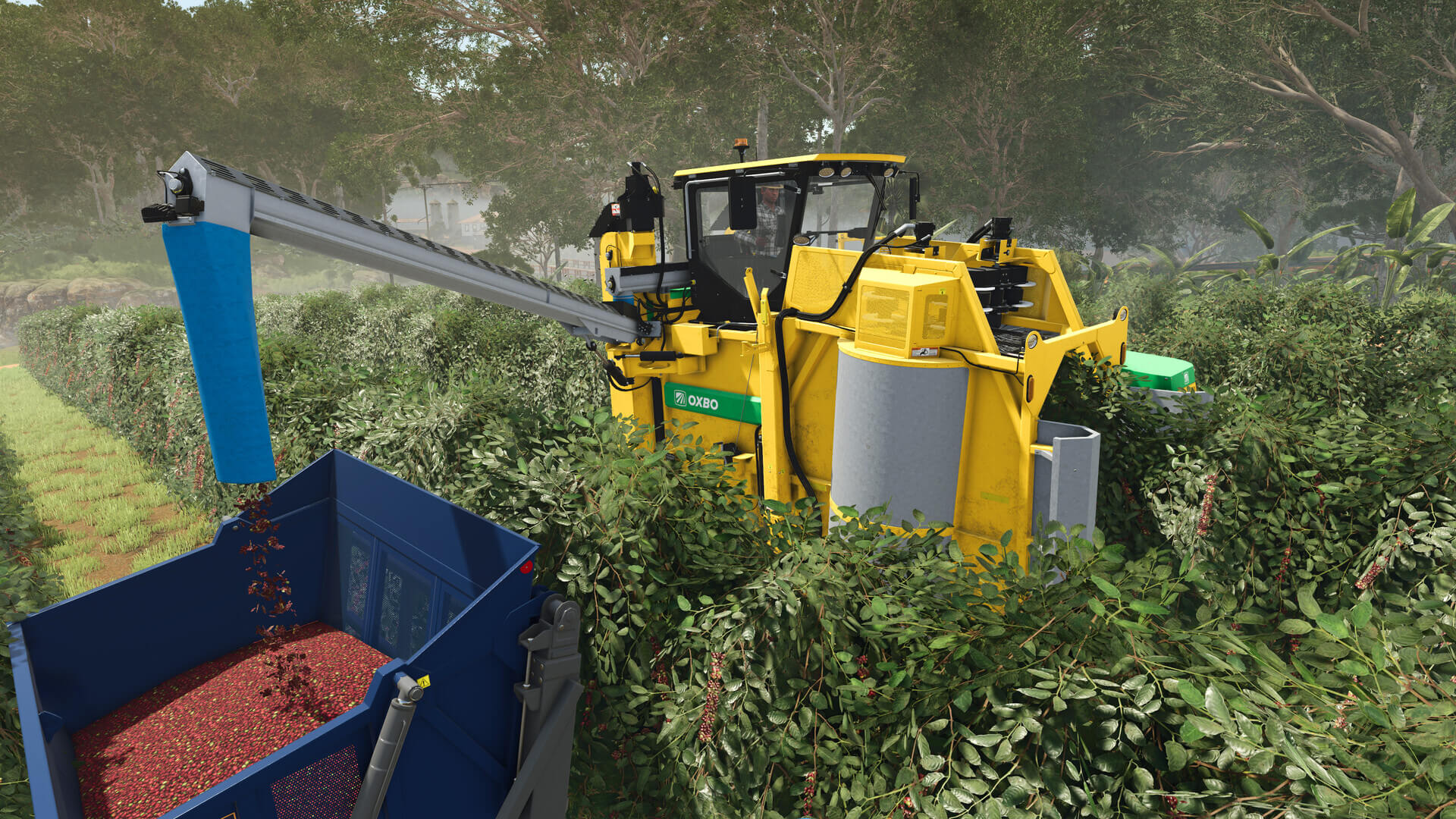 Скриншот Farming Simulator 25 - Beans & Alpacas Edition
